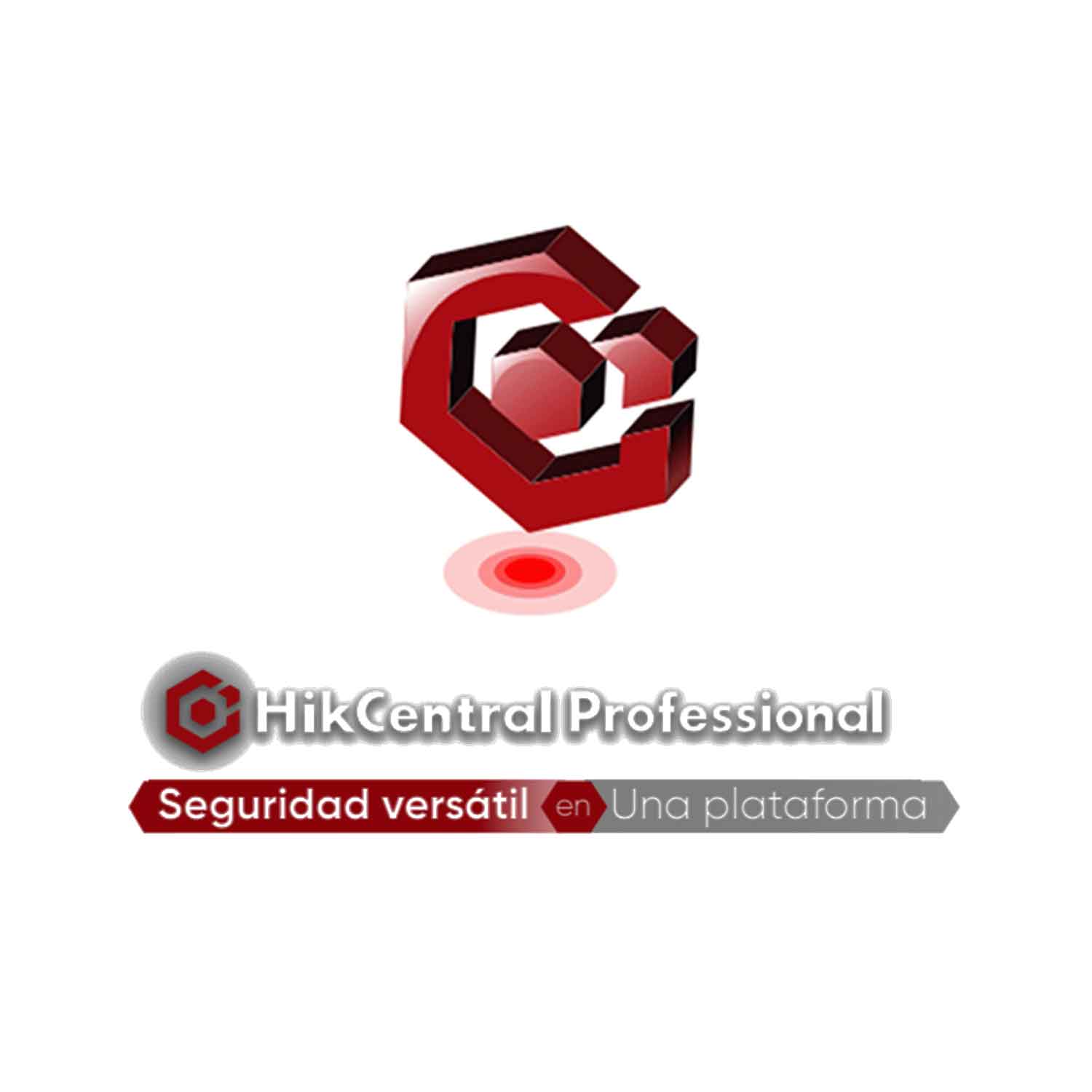Software